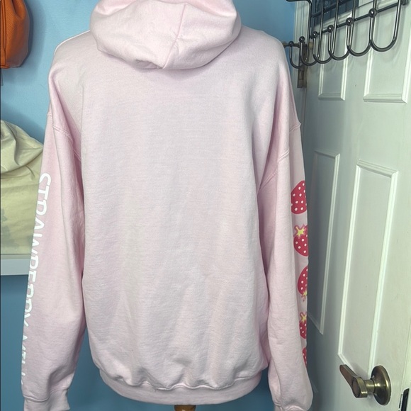 Sanrio Hello Kitty Strawberry Milk Pink Hoodie Milk Carton - Picture 4 of 7